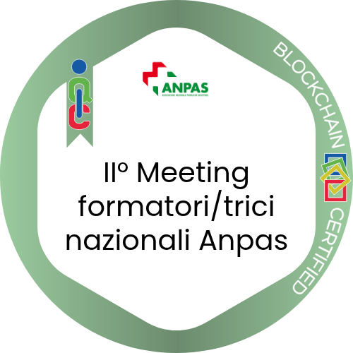 Badge pubblico 100217